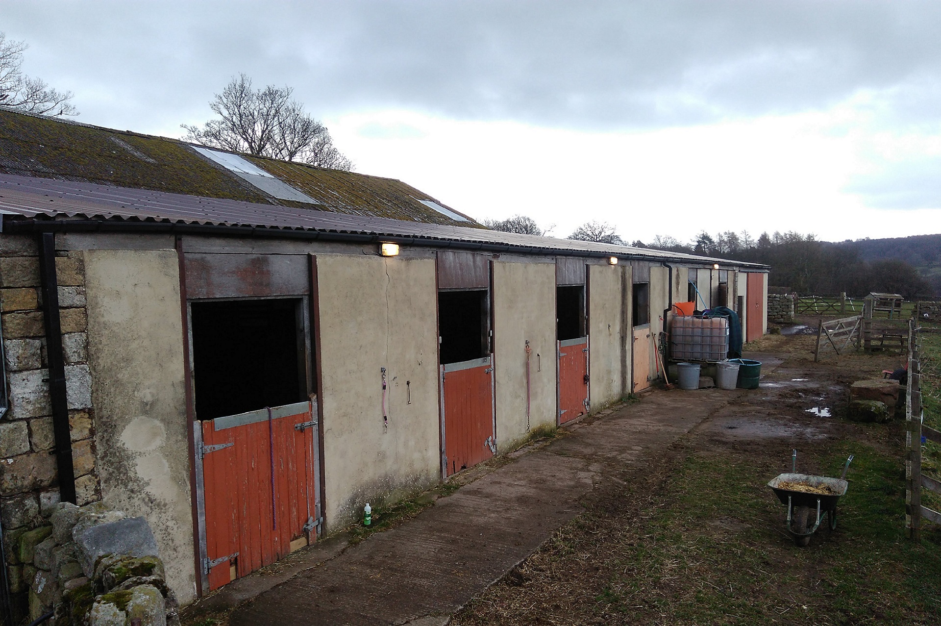 Horses and the livery yard at Throstle Nest