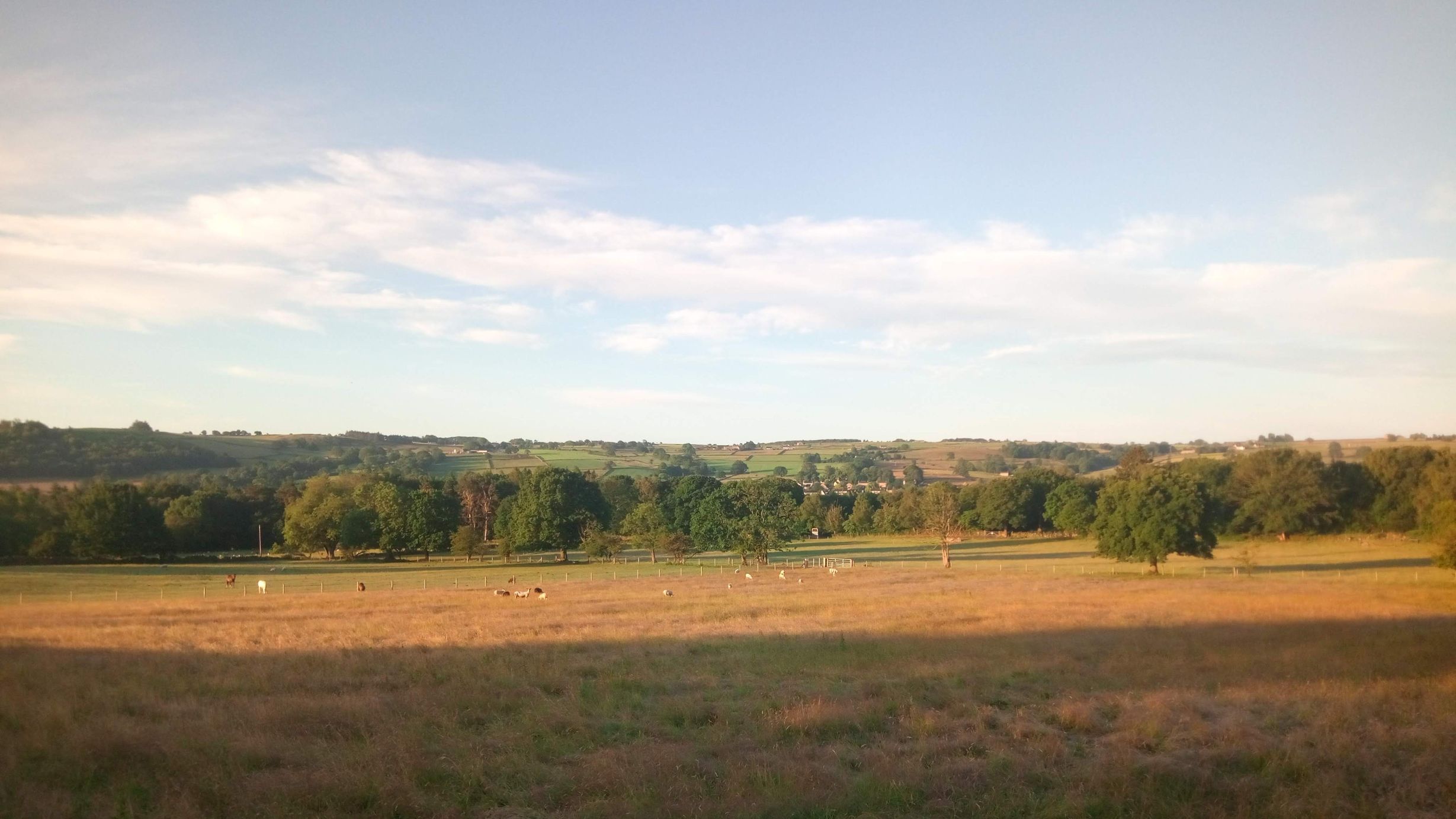 Throstle Nest Farm in Nidderdale