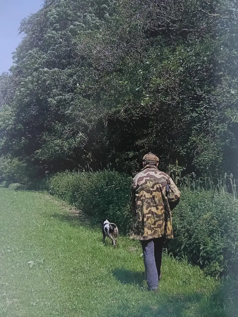 A person and dog walking beside a leafy hedgerow.